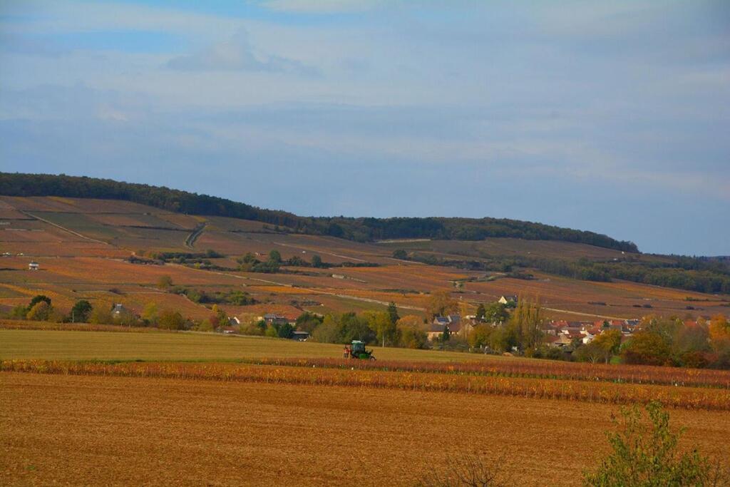 Chateau Des Barrigards Villa Ladoix-Serrigny Exterior photo